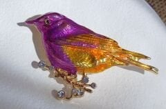 Taş İşlemeli Kuş Broş